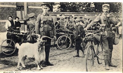 Gat: mascota de los soldados durante la Primera Guerra Mundial (1914-1918). de Unknown photographer