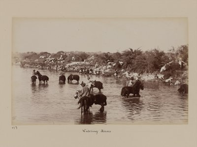 Jinetes indios dando de beber a sus caballos durante el Campamento de Ejercicio de Delhi de Unknown photographer