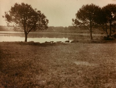 Paisaje en las Islas Brijuni de Unknown photographer