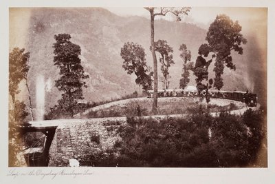 Bucle en la Línea del Himalaya de Darjeeling, c.1885 de Unknown photographer