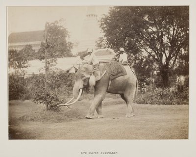 Fotografía en álbum de fotografías de Unknown photographer