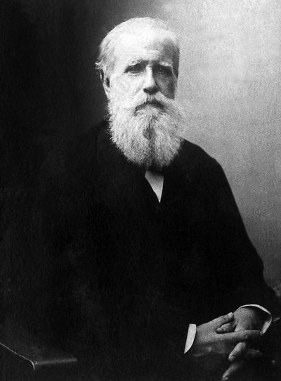 Retrato de Dom Pedro de Alcántara (Pedro II) (1825-1891), Emperador de Brasil. de Unknown photographer