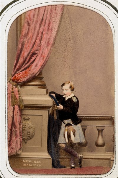 Retrato del príncipe Leopoldo de Inglaterra, duque de Albany de Unknown photographer
