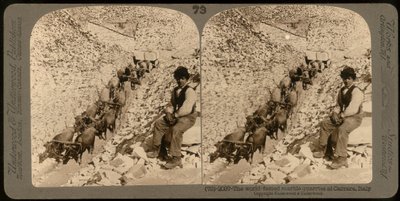 Retrato de un niño en las famosas canteras de mármol en Carrara; Fotografía estereoscópica (foto en b/n) de Unknown photographer