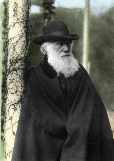 Retrato fotográfico de Charles Darwin (1809 - 1882), naturalista inglés en 1881 de Unknown photographer