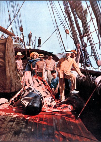 Príncipe y oceanógrafo Alberto I de Mónaco en la cubierta del barco “Princess Alice” con un globicefalo muerto. de Unknown photographer