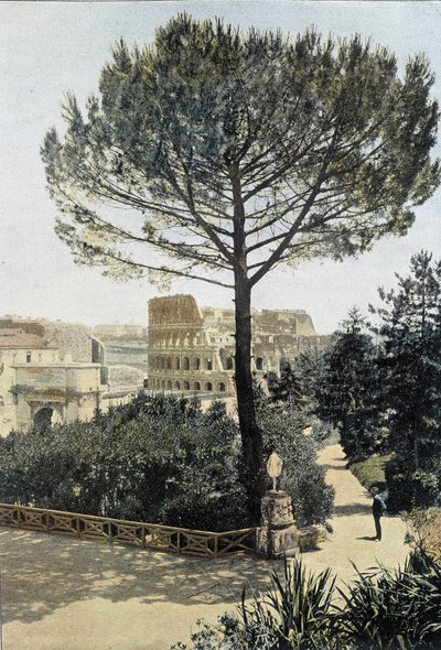Roma, el Coliseo visto desde el Palatino - Artes Deco de Unknown photographer
