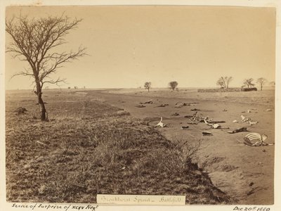 ¿Escena de sorpresa del xciv regimiento?, 1881 de Unknown