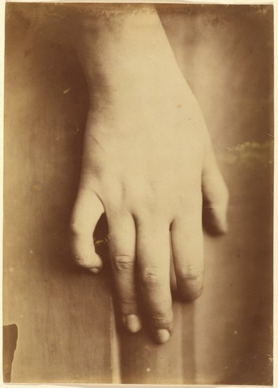 Estudio de una mano,1865 (foto) de Unknown photographer