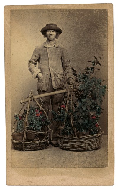 Trajes y máscaras venecianos: un vendedor ambulante de plantas de Unknown photographer