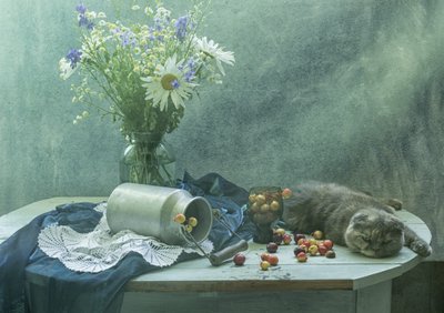 El gato dormido y las cerezas de UstinaGreen