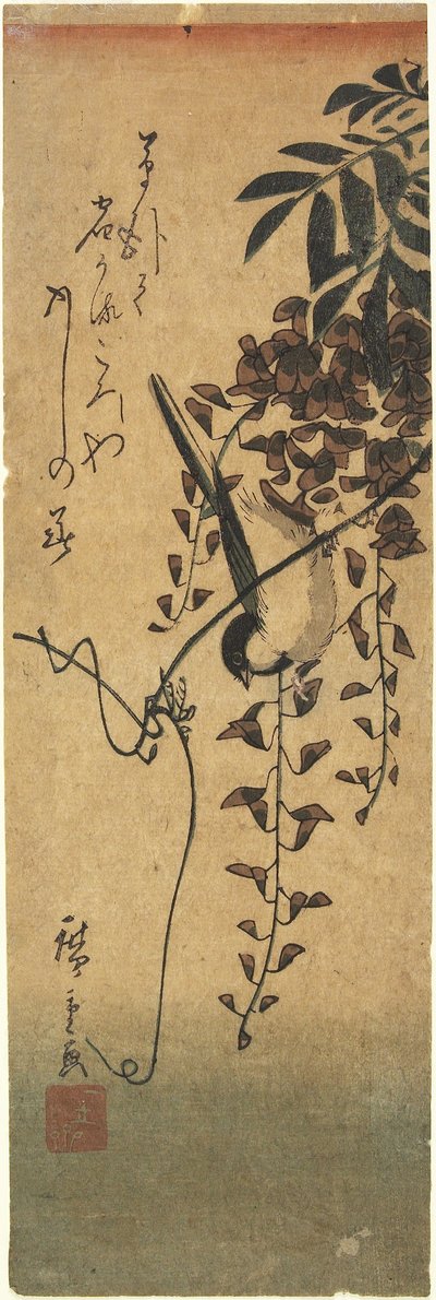 Pájaro en rama de glicinia de Utagawa Hiroshige