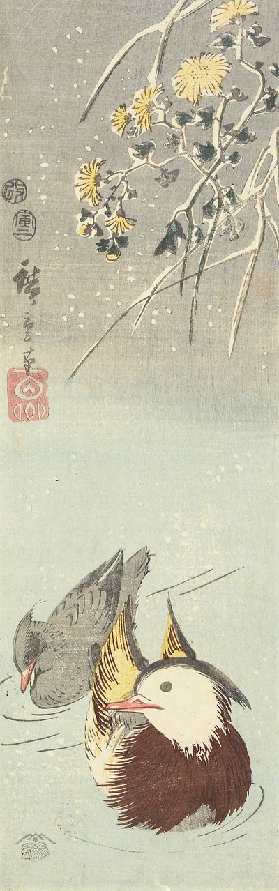 (Crisantemo y patos mandarines), febrero de 1854 de Utagawa Hiroshige