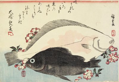 (Platija y lubina negra, flores de cerezo) de Utagawa Hiroshige