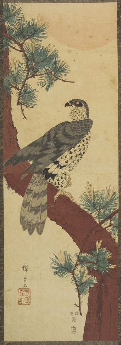 (Halcón en rama de pino, verano), septiembre de 1853 de Utagawa Hiroshige