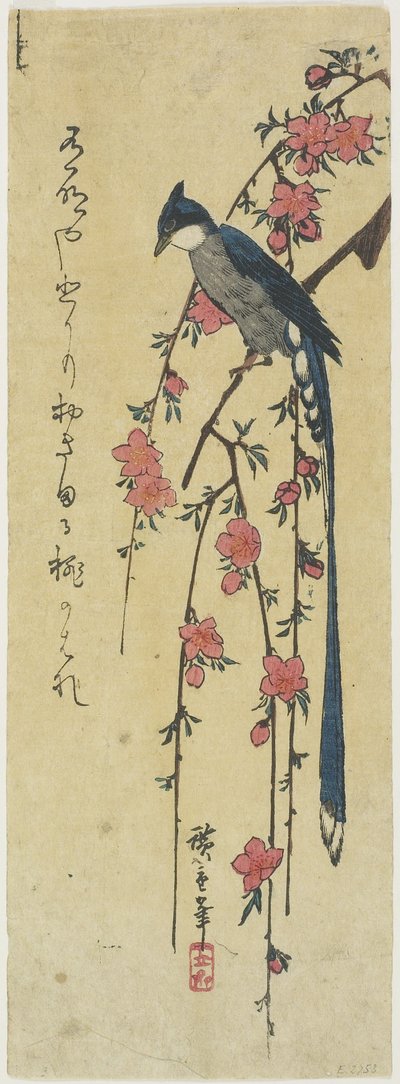 Gallo de cola larga en un cerezo caído de Utagawa Hiroshige