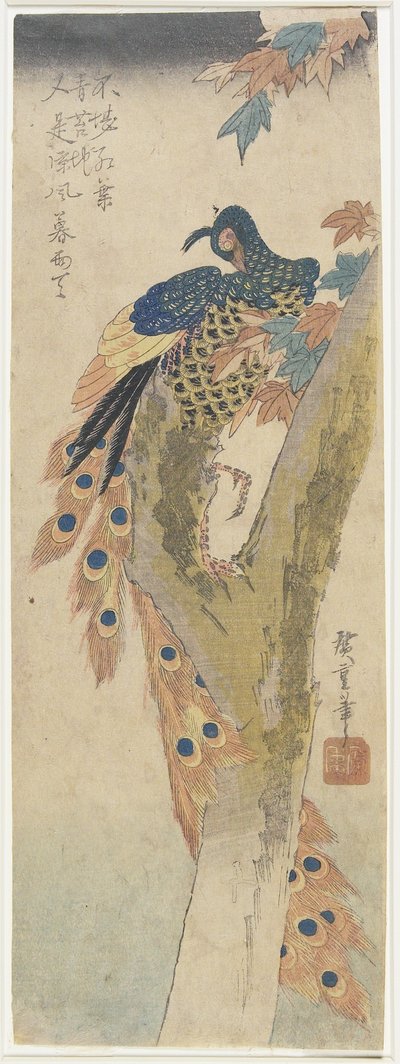 (Pavo real en árbol de arce), principios del siglo XIX de Utagawa Hiroshige