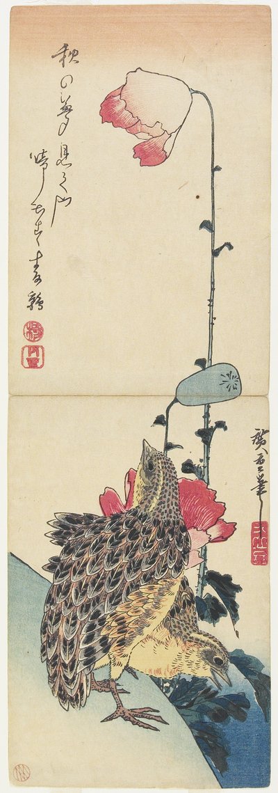 Codorniz y Amapolas, 1830-1858 de Utagawa Hiroshige