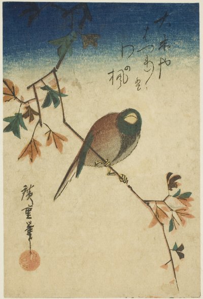 Pájaro en rama de arce de Utagawa Hiroshige