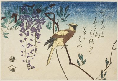 Oropéndola de nuca negra y glicinia de Utagawa Hiroshige