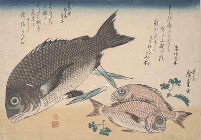 Besugo negro, besugo pequeño, brotes de espárragos y pimienta sansho, c.1830 de Utagawa Hiroshige