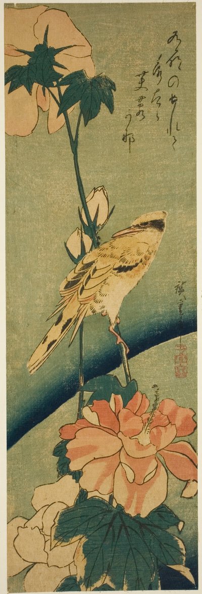 Oriol de nuca negra en hibisco de Utagawa Hiroshige