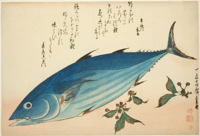 Bonito y saxífraga, de una serie sin título de peces de Utagawa Hiroshige
