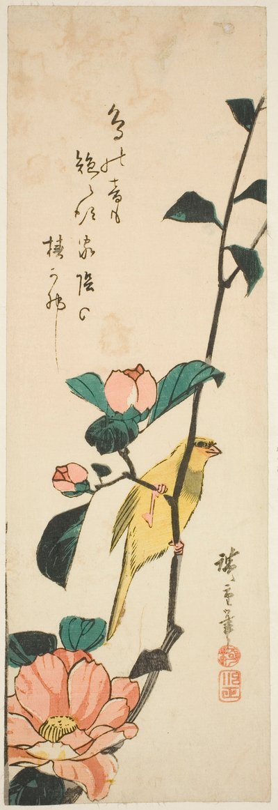 Canario y Camelias de Utagawa Hiroshige