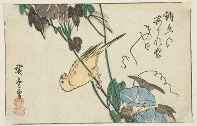 Canario y glorias de la mañana de Utagawa Hiroshige
