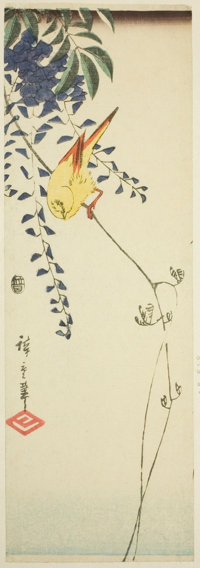 Canario y glicinia de Utagawa Hiroshige