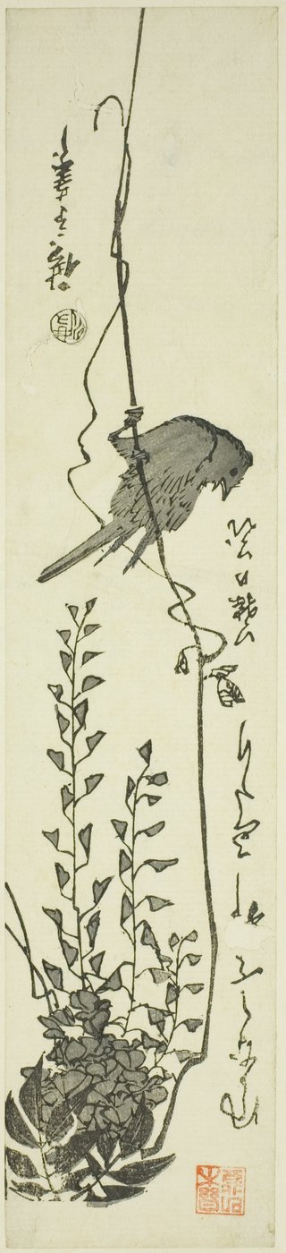 Canario y glicinia de Utagawa Hiroshige