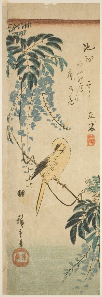 Canario y glicinia de Utagawa Hiroshige