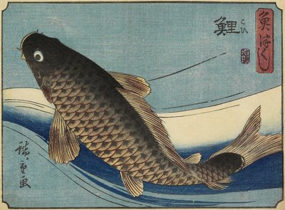 Carpa, 1830-1844 de Utagawa Hiroshige