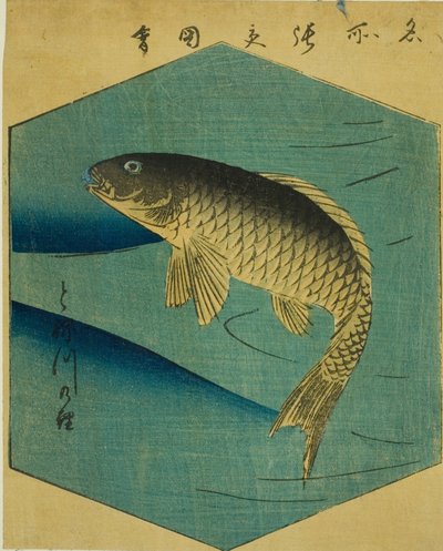 Carpas en el Río Tone (Tonegawa no koi), sección de una hoja de la serie "Imágenes Recortadas de Lugares Famosos en Edo (Edo meisho harimaze zue)" de Utagawa Hiroshige