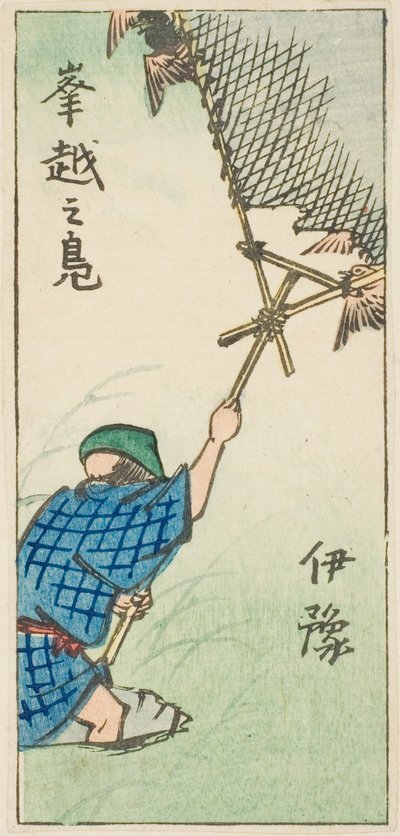 Cazando patos salvajes en la provincia de Iyo (Iyo, okoshi no kamo), sección de la hoja no. 16 de la serie "Imágenes recortadas de las provincias (Kunizukushi harimaze zue)" de Utagawa Hiroshige