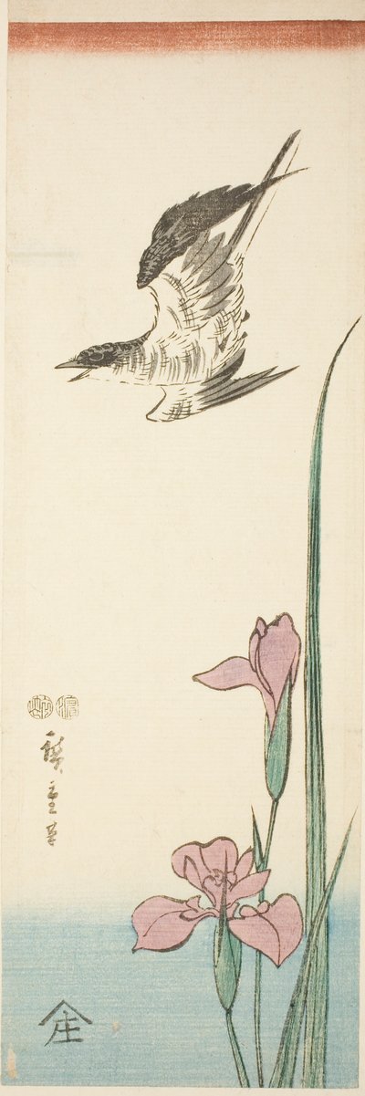 Cuco e iris de Utagawa Hiroshige
