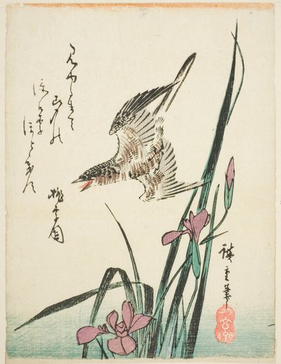 Cuco volando sobre iris de Utagawa Hiroshige