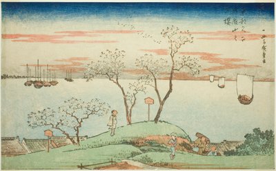 Cerezos en flor por la tarde en la colina Goten (Gotenyama no yuzakura), de la serie "Vistas famosas de la capital oriental (Toto Meisho)" de Utagawa Hiroshige