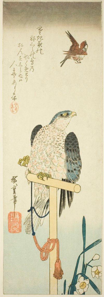 Halcón, gorrión y narciso de Utagawa Hiroshige