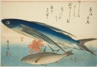 Pez volador e Ichimochi, de una serie sin título de peces de Utagawa Hiroshige