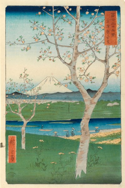 Fuji desde Koshigaya, Mushashi, No.14 de la serie 