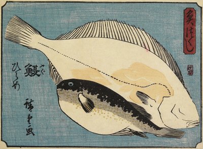 Pez globo y lenguado, 1830-1844 de Utagawa Hiroshige