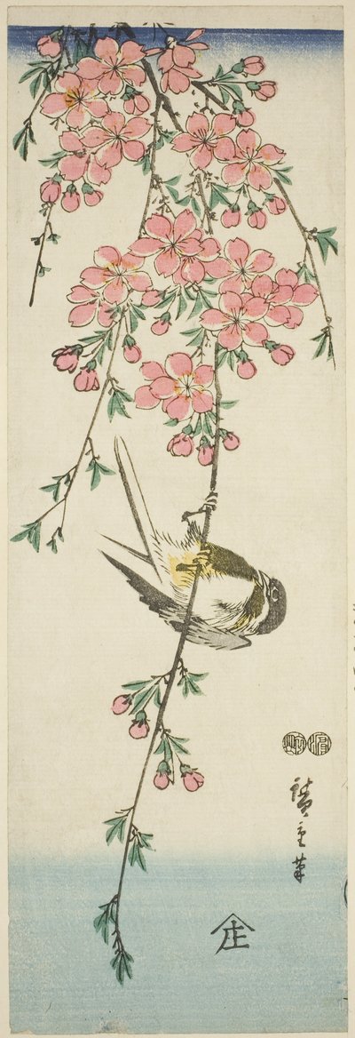 Carbonero común y flores de cerezo de Utagawa Hiroshige