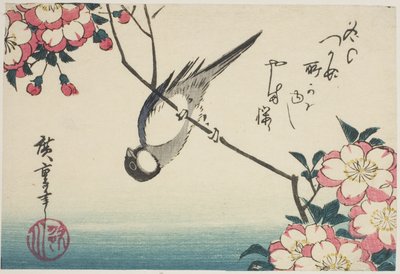 Carbonero común en rama de flor de cerezo de Utagawa Hiroshige