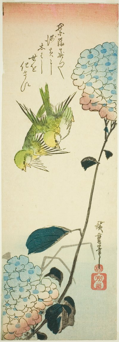 Pájaros verdes y hortensias de Utagawa Hiroshige