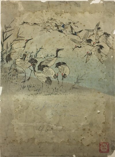 Garzas entre la hierba de Utagawa Hiroshige