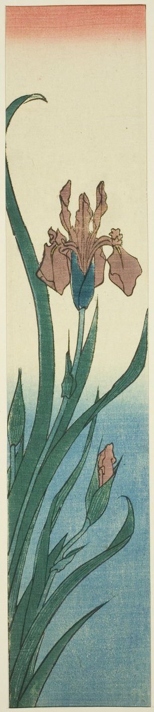 Iris de Utagawa Hiroshige