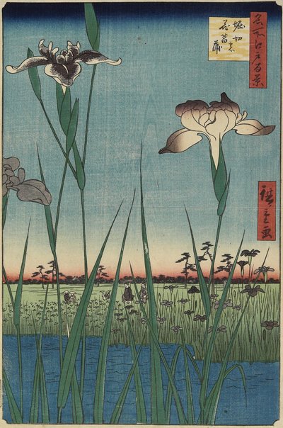 Jardín de iris en Horikiri, mayo 1857 de Utagawa Hiroshige