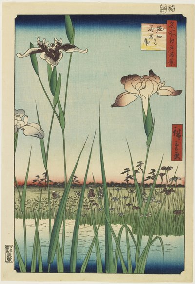 Jardín de Iris en Horikiri, Mayo 1857 de Utagawa Hiroshige