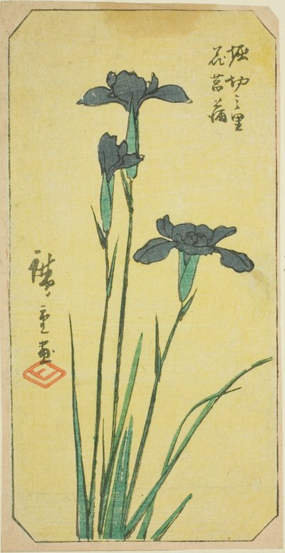 Iris en el pueblo de Horikiri, sección de una hoja de la serie "Imágenes recortadas de lugares famosos en Edo" de Utagawa Hiroshige